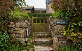 Rosecott
